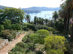 http://www.vdfb.net/gfx/news/11373_cannes.jpg