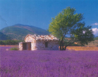 http://www.vdfb.net/gfx/news/11373_provencepic.jpg