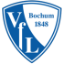 vfl_bochum.png